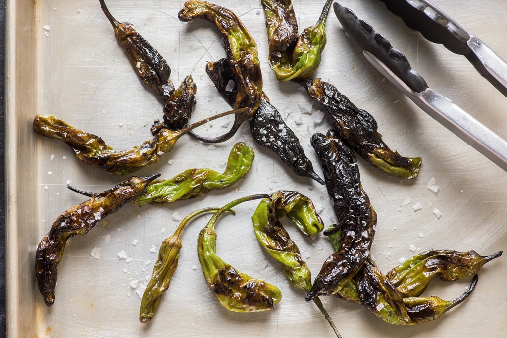 Charred Shishito Peppers. (Photo by Jennifer Chase for The Washington Post)