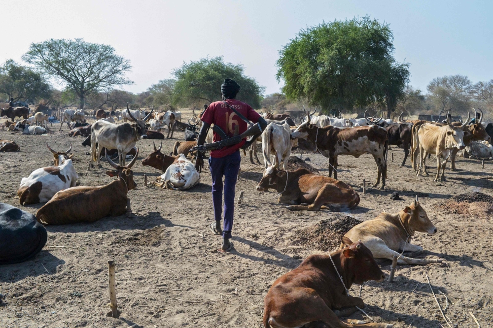 A man carrying a gun walks past cattle at Kirgui village in Udier, on March 9, 2019. AFP/Simon Maina  