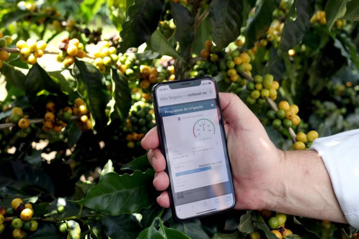 A farmer shows an irrigation management system app on his mobile phone at a coffee plantation in Sao Sebastiao do Paraiso, Brazil April 22, 2019. Reuters/Amanda Perobelli