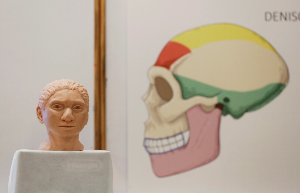 Artistic rendering of the face of a 13-year-old girl from prehistoric Denisovan human species based on tech developed by Hebrew University’s Liran Carmel and team in Jerusalem, September 19, 2019.  Reuters / Ammar Awad