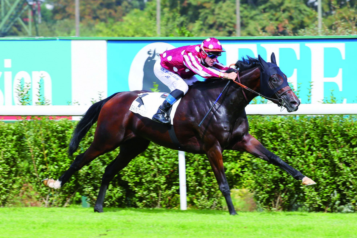 Olivier Peslier guides Fayona to win yesterday.