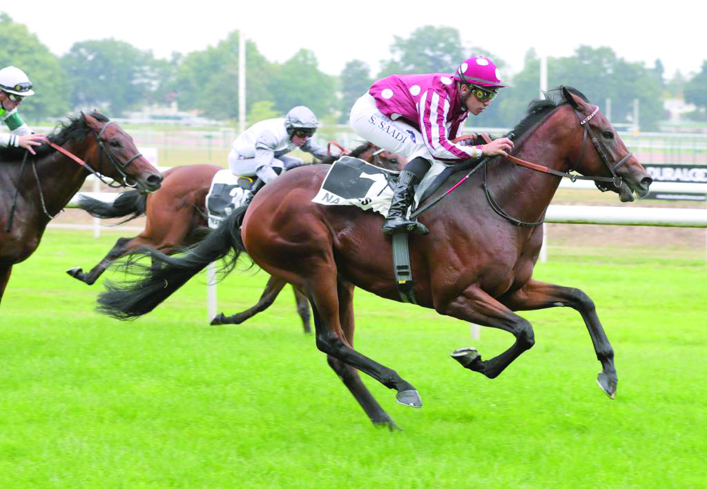 Soufiane Saadi guides Wassim to victory at Nantes yesterday. 