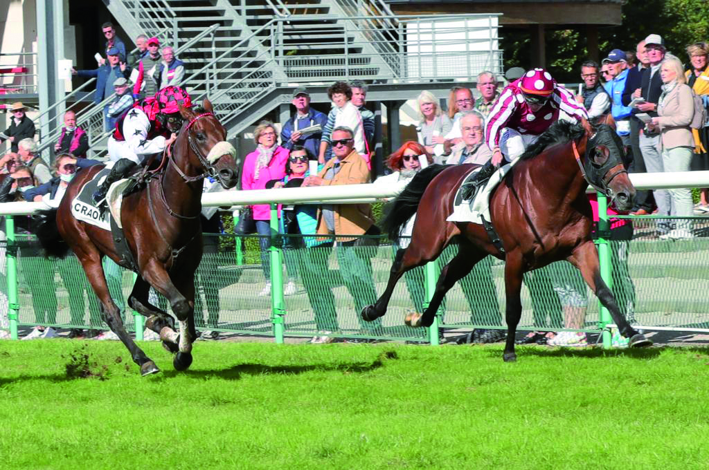 Jockey Mickael Barzalona guiding Pearl Tree to finish line. Pic: Jean Charles Briens