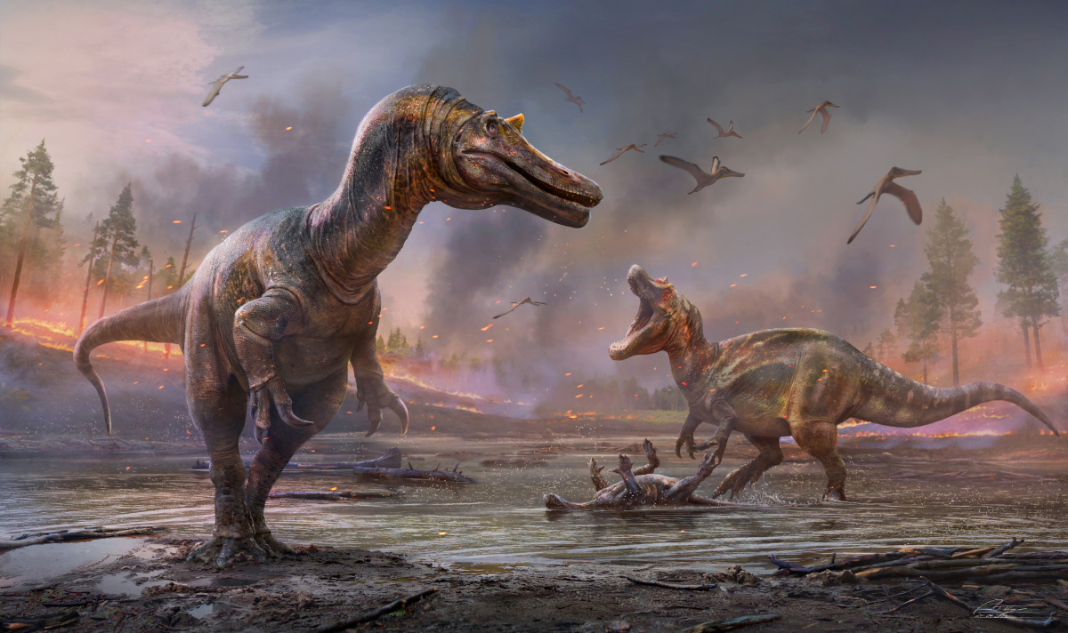 The meat-eating dinosaurs Ceratosuchops inferodios, in the foreground, and Riparovenator milnerae, in the background are seen in an undated artist's rendition. Fossils of these two Cretaceous Period dinosaurs were discovered on England’s Isle of Wight. An