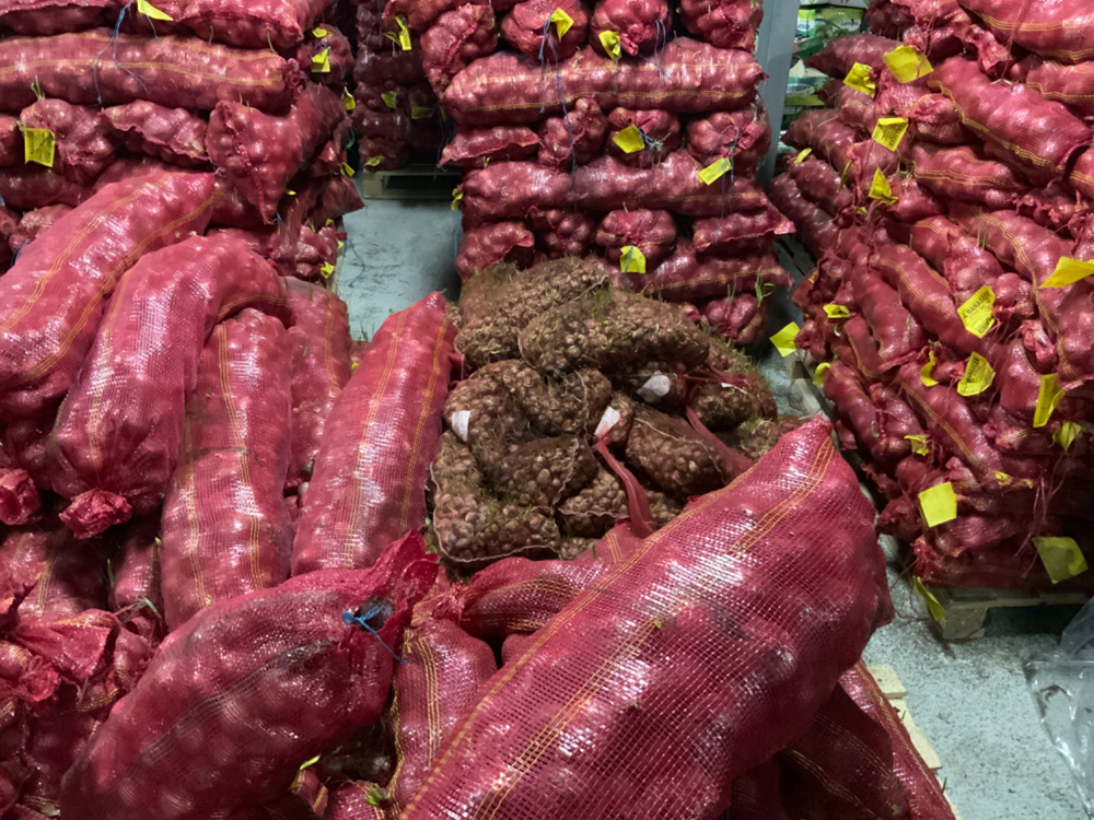 Seized items during the inspection campaign.