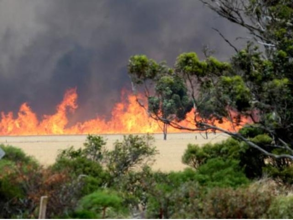 Image representation