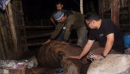 Peninsula