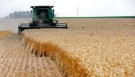 A combine drives over stalks of soft red winter wheat during the harvest on a farm in Dixon, Illinois, July 16, 2013. REUTERS/Jim Young/File Photo