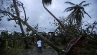A man walks amongst trees damaged by Hurricane Matthew in Les Cayes, Haiti, October 5, 2016. REUTERS/Andres Martinez Casares