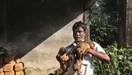Ranjan Varapuzha, a popular dog catcher in the seaside Kochi city, pulls out four puppies from under a log pile. Hundreds of Indian street dogs have been killed in the past year by the people angry over growing number of dog bites. (Washington Post photo 