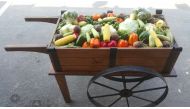 File picture of local vegetables at Mahaseel festival held recently at Katara.  