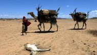 Ethiopia’s latest rain failure has mainly hit southern livestock-herding communities, unlike last year when hunger was worst in the north and west. (AFP / Joel Robine) 