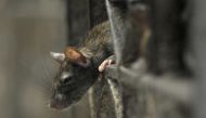Representational image (Reuters) 