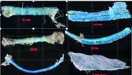 Microplastics found in the sea.