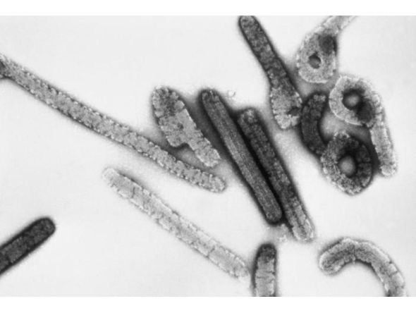 Representational file photo.