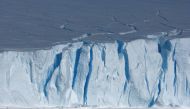 A supplied image shows penguins walking in front of ice cliffs in East Antarctica, December 29, 2007. Picture taken December 29, 2007. John B. Weller-Pew Charitable Trust/Handout via REUTERS 