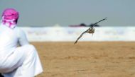 A falcon flies as part of the Al-Da’u Championship held as part of the ninth Qatar International Falcons and Hunting Festival. 