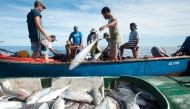 Fishermen pulling in fish caught in their nets off the coast of Mahe, in the Seychelles islands on February 21, 2018.  AFP Photo / The Nature Conservancy/Tate Drucker