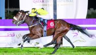 Full Moon, ridden by French jockey Ryan Curatolo, wins the Qatar Derby (Gr 1), in a photo-finish at QREC yesterday. 