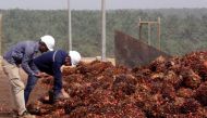 Men work on palm fruits at a palm oil factory in Bomi County, Liberia, December 30, 2017. Reuters / Thierry Gouegnon