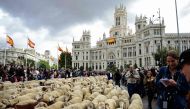 Flocks of sheep are herded in front of the city hall in Madrid on October 20, 2019.   AFP / OSCAR DEL POZO
