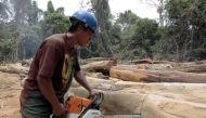 FILE PHOTO: A man from the Embera tribe cuts trees which had been cut by a private logging company in the community of La Pulida in Darien, Panama, in an area used by Colombian rebels to smuggle drugs, February 17, 2010.