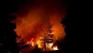 FILE PHOTO: A tree engulfed in flames is seen during the Creek Fire in Tollhouse, California, U.S. September 8, 2020. REUTERS/Stephen Lam