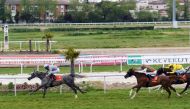 Jalela, ridden by Jerome Cabre, reaching the finish line to win the Prix Nefta (Gr2 PA) at Toulouse Racecourse in France yesterday. Pics: Robert Polin