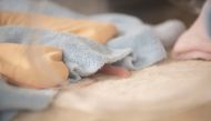 The tail of the first twin sticks out from under a blanket after the female panda Huan Huan gave birth at the Beauval zoo in Saint-Aignan-sur-Cher, central France, August 2, 2021. ZooParc de Beauval/Handout via REUTERS