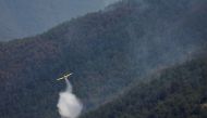 A plane drops water onto a wildfire near Lladurs, Spain, June 17, 2022. REUTERS/Albert Gea