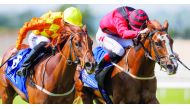 Mauiewowie wins Qatar Racing And Equestrian Club Curragh Stakes. 