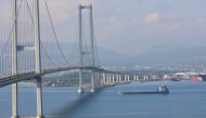 Turkish-flagged cargo ship Polarnet, carrying Ukrainian grain, passes by Osmangazi Bridge entering Gulf of Izmit, Turkey, on August 8, 2022.  File Photo / Reuters