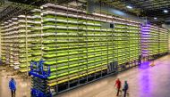 As a purpose-driven organisation, AeroFarms is both a change-the-world company and an award-winning retail brand.