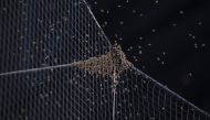 Detail of a bee colony formed on the netting behind home plate causing a start delay for the MLB game between the Arizona Diamondbacks and the Los Angeles Dodgers at Chase Field on April 30, 2024 in Phoenix, Arizona. (Photo by Christian Petersen / GETTY IMAGES NORTH AMERICA / Getty Images via AFP)

