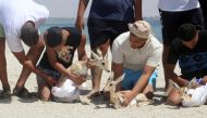 Local NGO activists from Bessida, hold three of the eight Rhim gazelles wrapped in protective blankets as they made ready for release on Farwa Island, off the Libyan coast of Abu Kammash, some 20 Km west of the Tunisian border on July 17, 2024. Eight young individuals, one male and 8 females, were released on Farwa Island, their new permanent home by Bessida, a local NGO active in environmental conservation and marine biodiversity protection. (Photo by Mahmud Turkia / AFP)
 
