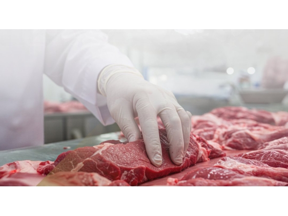 Ministry inspection teams have intensified monitoring of food establishments across the country, including restaurants, traditional kitchens, butcher shops, bakeries, fish markets and poultry outlets.
