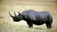 Representational file photo.