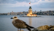 A seagull stands on a rock in front of the Maiden's Tower at sunrise in Istanbul on August 9, 2025. (Photo by Yasin Akgul / AFP)