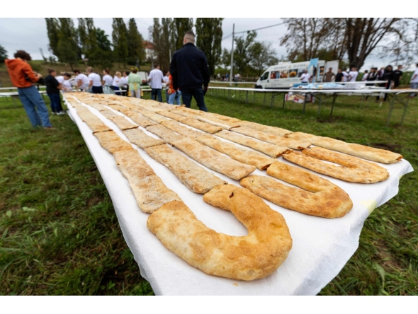 Seven rows of strudel on a table, during an attempt to set a Guinness World Record for the largest strudel in the world, in the village of Jeskovo near Karlovac, on September 6, 2025. Photo by DAMIR SENCAR / AFP
