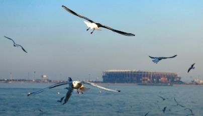 Chance of scattered thundery rain in Qatar on September 15, 2025. (Pic: Karim Jaafar / AFP)