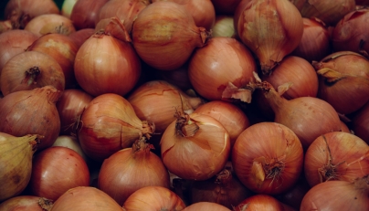 Dutch make explosive discovery in French onion delivery
