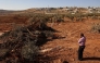 File: A Palestinian man looks at olive trees reportedly uprooted by Israeli soldiers using a bulldozer in the occupied West Bank village of Al-Mughayyir, north of Ramallah, on August 24, 2025. (Photo by Zain Jaafar / AFP)