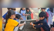 PISQ pupils engage in the gardening project