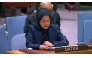 Permanent Representative of the State of Qatar to the United Nations HE Sheikha Alya Ahmed bin Saif Al-Thani