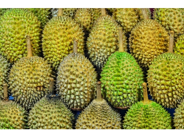 Representaional photo by Jonny Clow on Unsplash