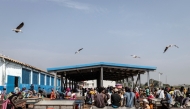Seagulls fly over a fish market in Bissau, on November 26, 2025. (Photo by PATRICK MEINHARDT / AFP)

