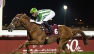 Tiding and jockey Alberto Sanna on their way to win the Al Shaqab Cup. Pics: JUHAIM/QREC