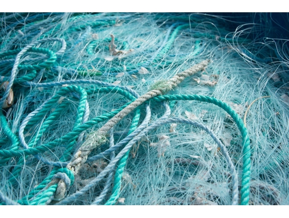 Image used for representation only.