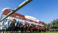 The Festival features a total of 32 races across the four days at  Al Rayyan Racecourse.
