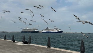A photograph shows cruise ships moored in the old port of Doha on March 10, 2026. Photo by AFP
